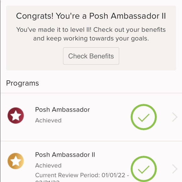 🥰POSH AMBASSADOR II - Picture 4 of 4